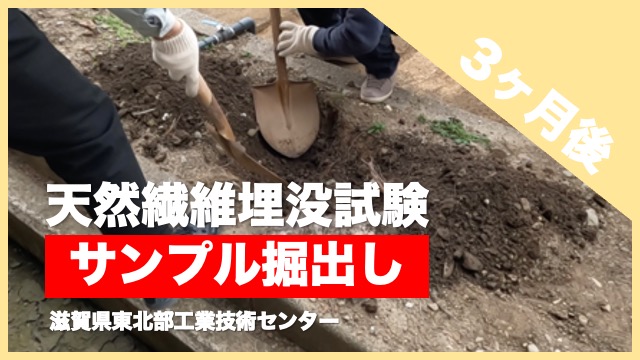 image-20230323153533-1.jpeg
