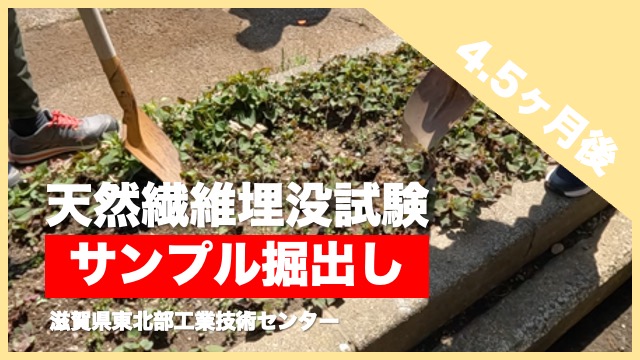image-20230501125304-1.jpeg